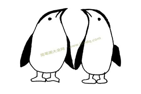 两只小企鹅简笔画图片