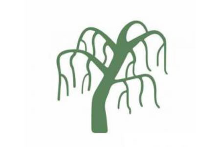 幼儿垂柳简笔画图片