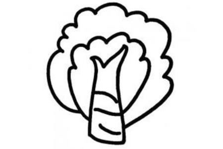 杨树的画法简笔画