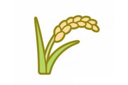  幼儿稻穗简笔画