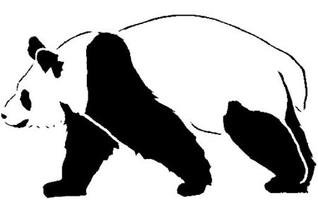 漂亮的大熊猫