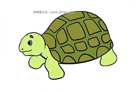 简单的海龟简笔画步骤