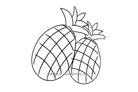 简单的菠萝简笔画图片