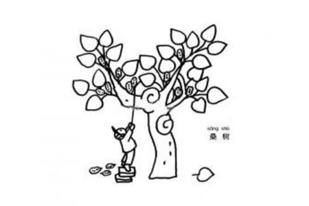 桑树简笔画