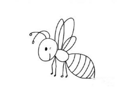 卡通小蜜蜂简笔画图片