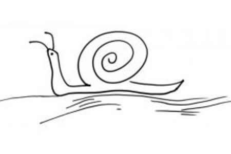 蜗牛的简笔画画法
