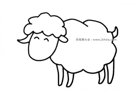 六张可爱的绵羊简笔画图片