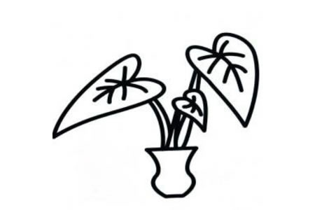 滴水观音简笔画