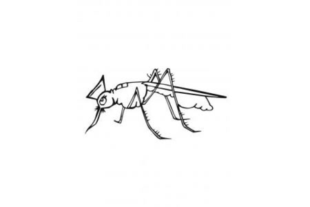 卡通蚊子的画法