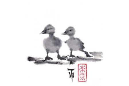 毛绒绒的小鸭子动物国画