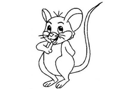 机灵的小老鼠简笔画