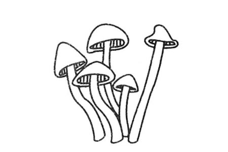 漂亮的蘑菇简笔画大全