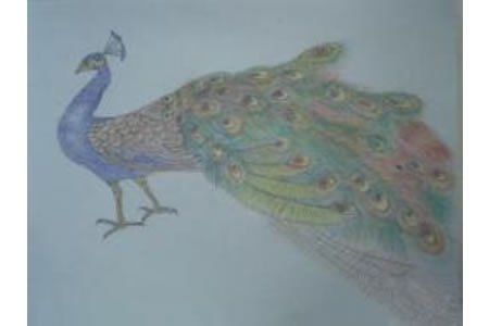 孔雀公主儿童画画作品