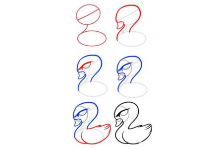 小天鹅简笔画步骤图