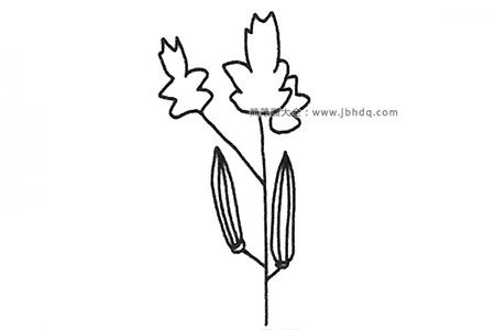 一枝秋葵简笔画图片