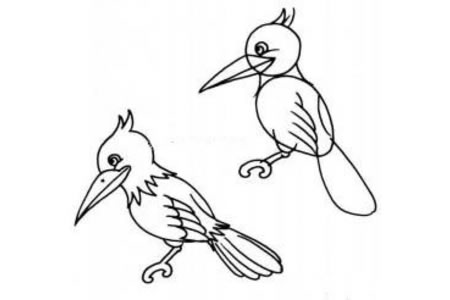 一组小鸟的简笔画图片