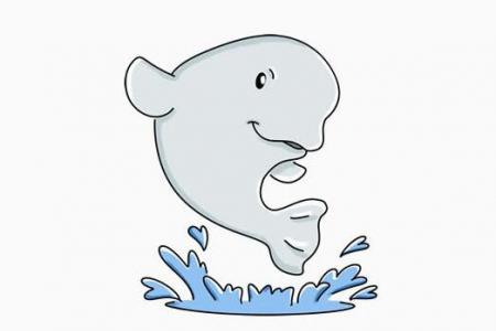 简笔画教程 白鲸鱼简笔画步骤图
