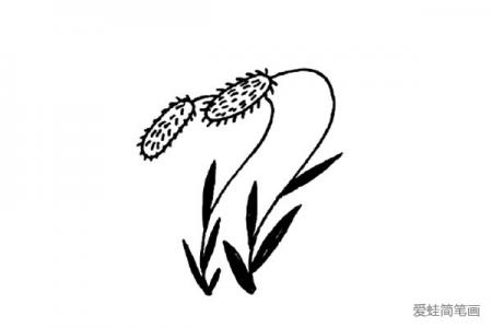 四张漂亮的小植物简笔画