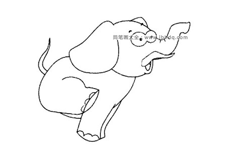 动物的画法 大象