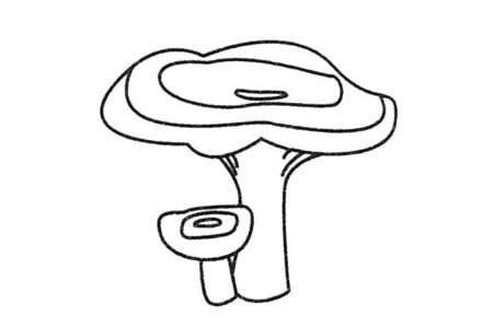 简单的蘑菇简笔画图片