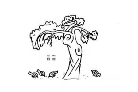柏树简笔画图片