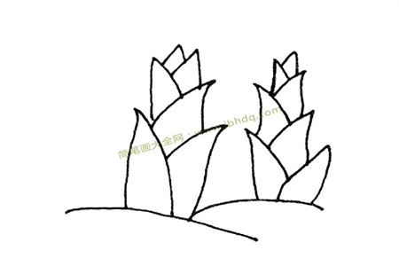 春笋简笔画图片