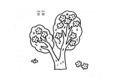 杏树简笔画图片
