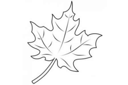 秋叶简笔画