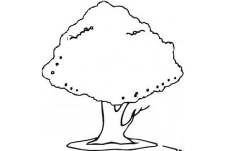 如何简单画樱桃树