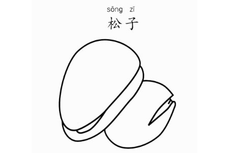松子怎么画