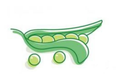 幼儿简笔画豆荚的绘画步骤