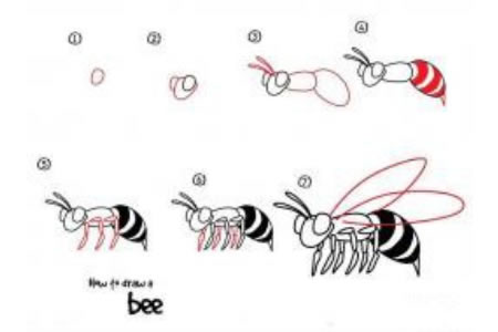 如何画蜜蜂 蜜蜂简笔画教程