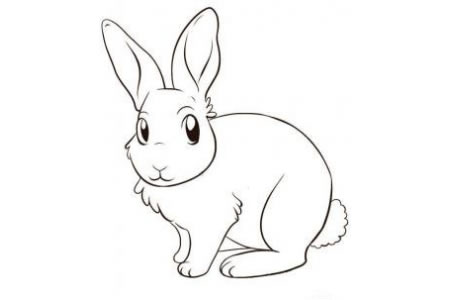 一只可爱的兔子