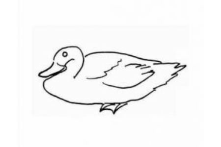 简单鸭子的简笔画图片