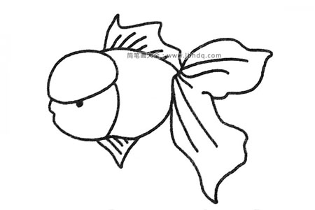 一组漂亮的孔雀鱼简笔画图片