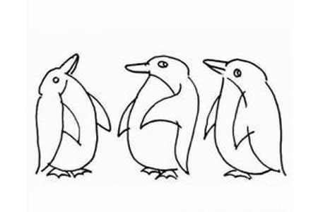 幼儿企鹅简笔画