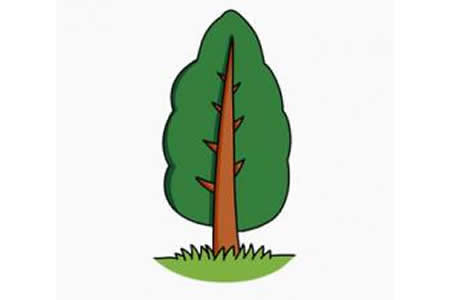 柏树简笔画画法