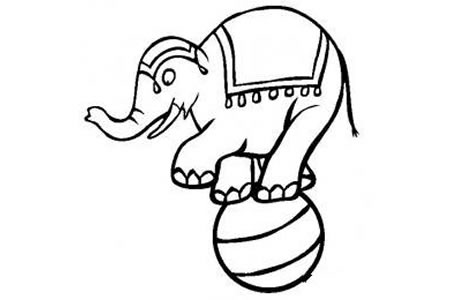 马戏团表演 大象表演简笔画图片