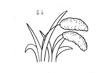 谷子简笔画图片