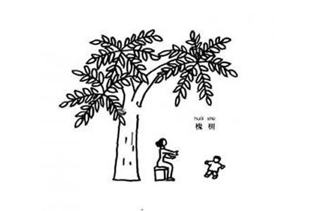 槐树简笔画图片