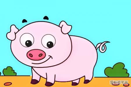 画一只可爱的小猪