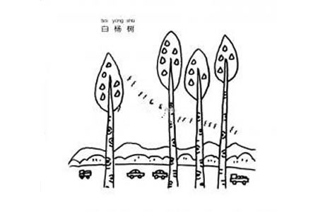 白杨树简笔画图片