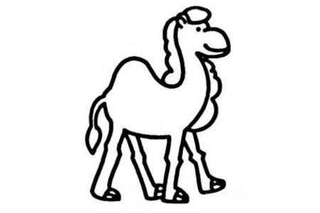 儿童动物简笔画 骆驼