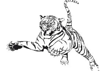 正在捕猎的老虎简笔画