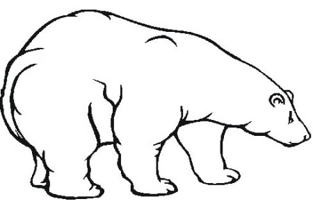 北极熊简笔画画法