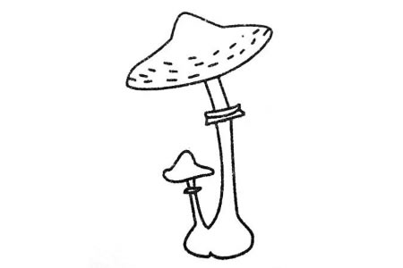 简单的蘑菇画法步骤