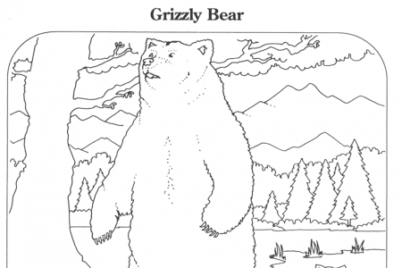 如何画大灰熊