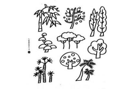 树木树木线描组图组图