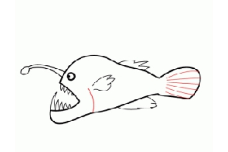 琵琶鱼简笔画画法
