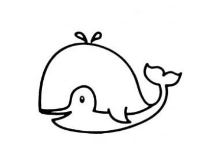 幼儿简笔画图片 简单的鲸鱼简笔画